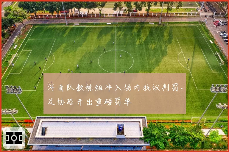 河南队教练组冲入场内抗议判罚，足协恐开出重磅罚单