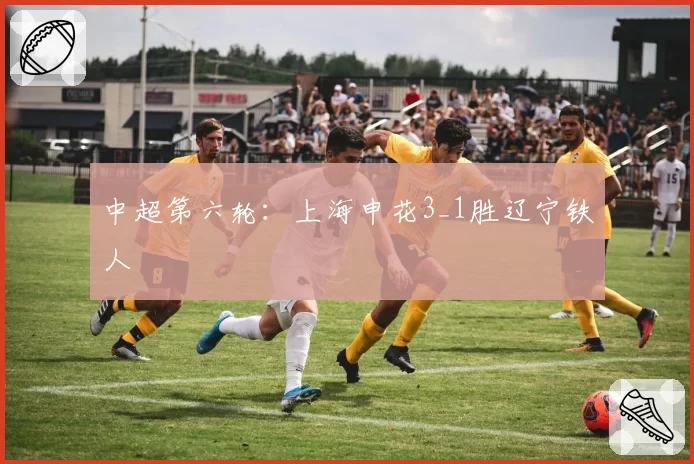 中超第六轮：上海申花3_1胜辽宁铁人