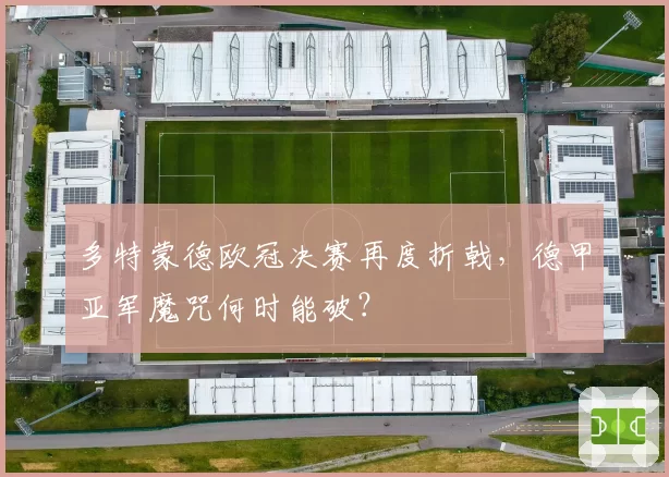 多特蒙德欧冠决赛再度折戟，德甲亚军魔咒何时能破？