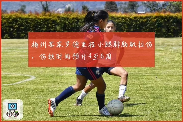 梅州客家罗德里格小腿腓肠肌拉伤，伤缺时间预计4至6周