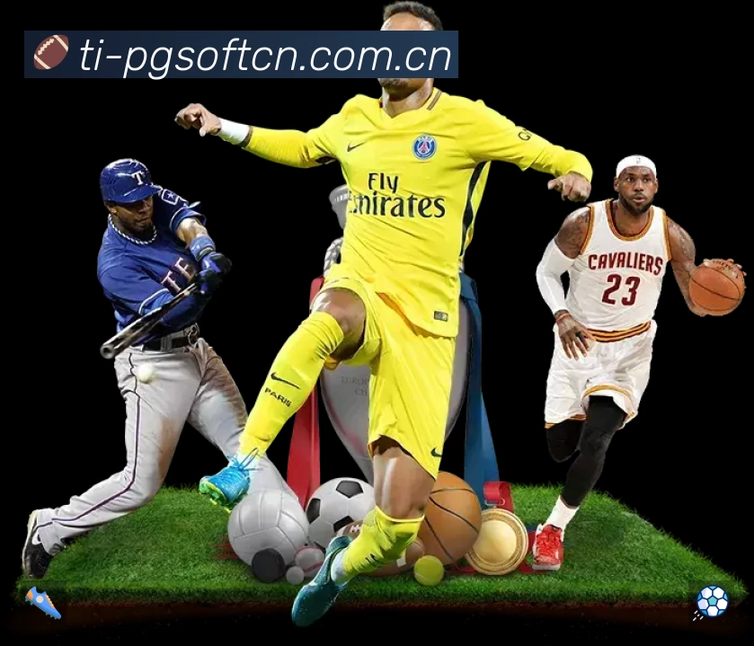 安全使用与支持流程